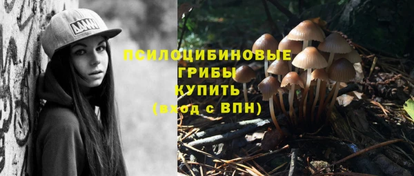 прущая мука Арсеньев