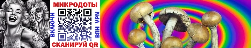 наркошоп  Славск  Галлюциногенные грибы Psilocybine cubensis 